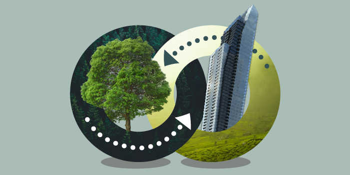 ¿Qué son los corredores biológicos? | Mapasin